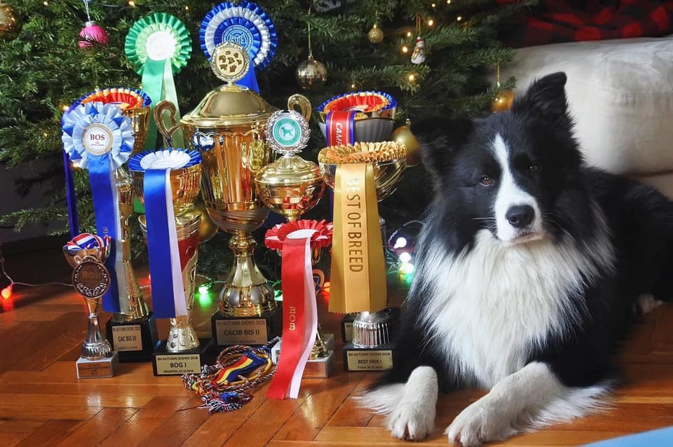 Images